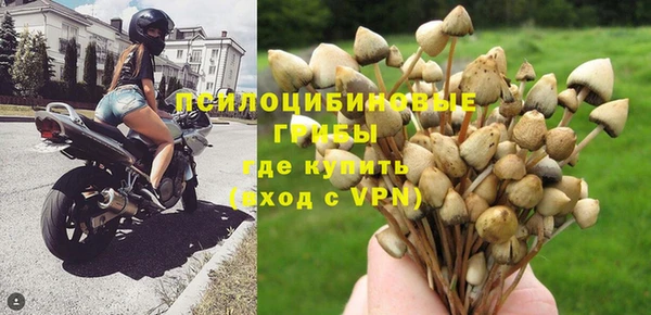МДПВ Абдулино