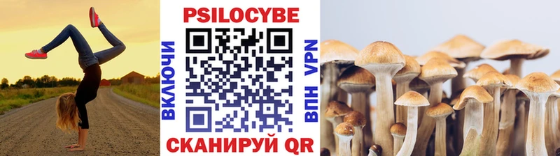 shop телеграм  наркотики  Лакинск  Галлюциногенные грибы прущие грибы 